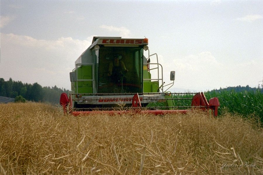 Claas Drescher 23